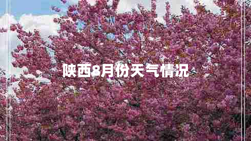 陜西8月份天氣情況