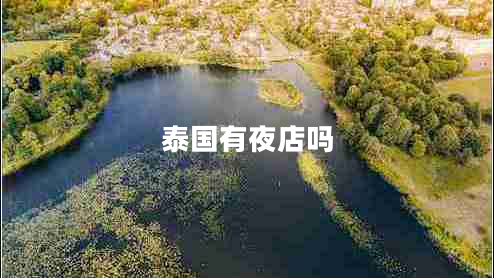 泰國有夜店嗎