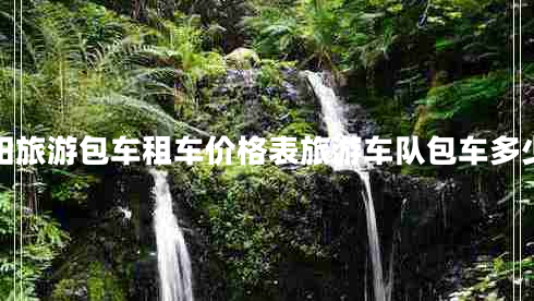 貴州貴陽(yáng)旅游包車(chē)租車(chē)價(jià)格表旅游車(chē)隊包車(chē)多少錢(qián)一天