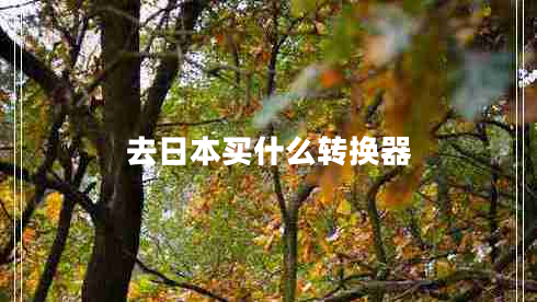 去日本買(mǎi)什么轉換器