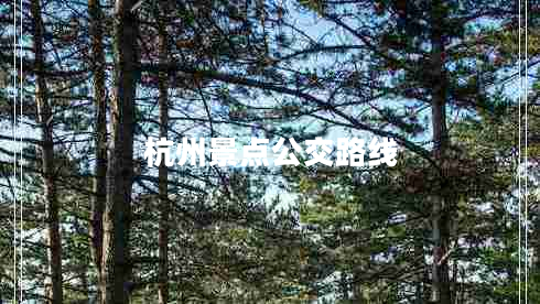 杭州景點(diǎn)公交路線(xiàn)