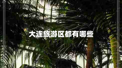 大連旅游區都有哪些