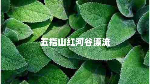 五指山紅河谷漂流