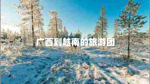 廣西到越南的旅游團