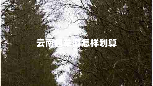 云南包車(chē)游怎樣劃算