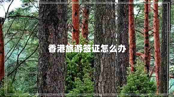 香港旅游簽證怎么辦 香港旅游簽證怎么辦
