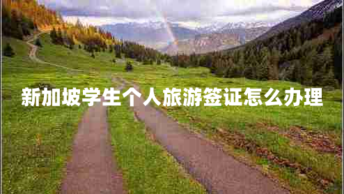 新加坡學(xué)生個(gè)人旅游簽證怎么辦理