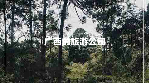 廣西的旅游公司 廣西的旅游公司