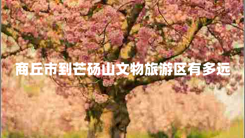 商丘市到芒碭山文物旅游區有多遠