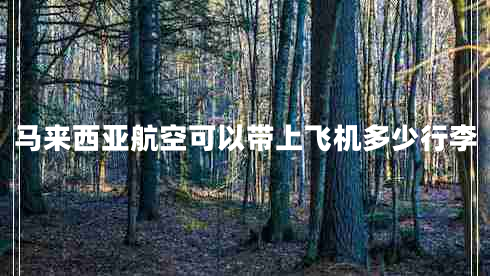 馬來(lái)西亞航空可以帶上飛機多少行李 馬來(lái)西亞航空可以帶上飛機多少行李