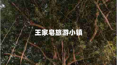 王家皂旅游小鎮