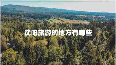 沈陽(yáng)旅游的地方有哪些