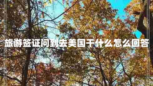 旅游簽證問(wèn)到去美國干什么怎么回答