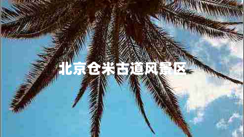 北京倉米古道風(fēng)景區