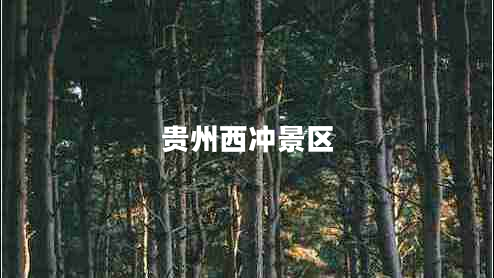 貴州西沖景區