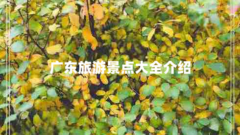 廣東旅游景點(diǎn)大全介紹