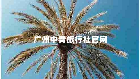 廣州中青旅行社官網(wǎng)