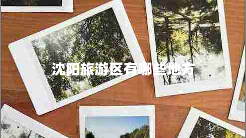 沈陽(yáng)旅游區有哪些地方