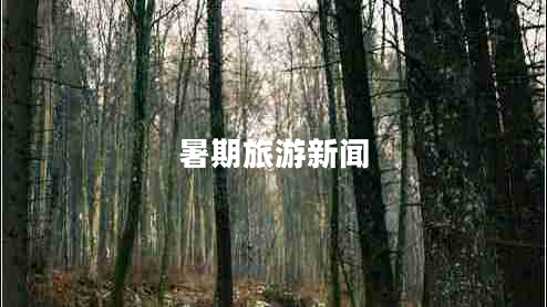暑期旅游新聞 暑期旅游新聞