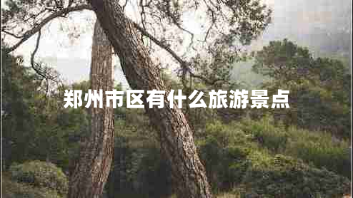 鄭州市區有什么旅游景點(diǎn)