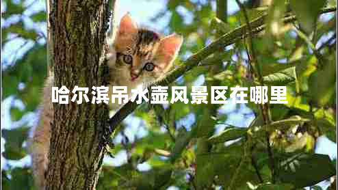 哈爾濱吊水壺風(fēng)景區在哪里