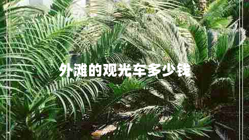 外灘的觀(guān)光車(chē)多少錢(qián)