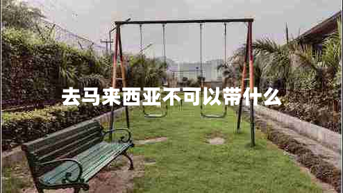去馬來(lái)西亞不可以帶什么