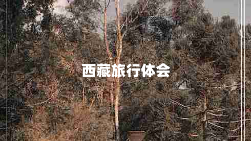 西藏旅行體會(huì )