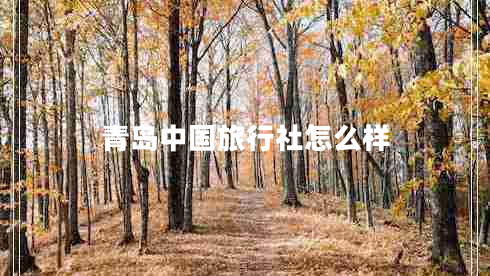 青島中國旅行社怎么樣
