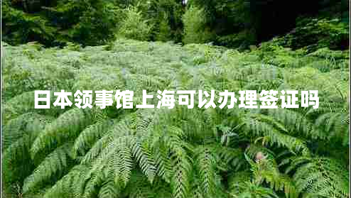 日本領(lǐng)事館上?？梢赞k理簽證嗎