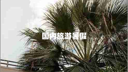 國內旅游暑假