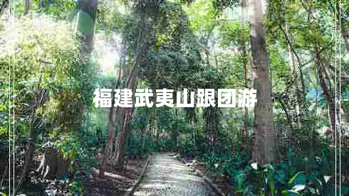 福建武夷山跟團游