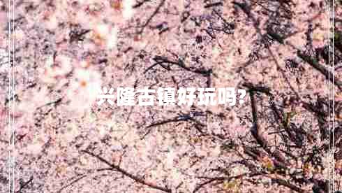 興隆古鎮好玩嗎?