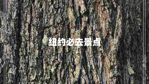 紐約必去景點(diǎn)