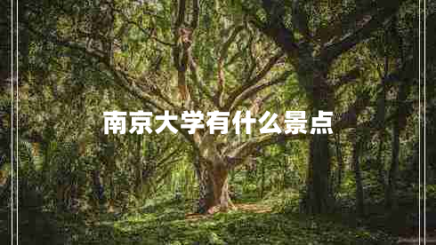 南京大學(xué)有什么景點(diǎn)