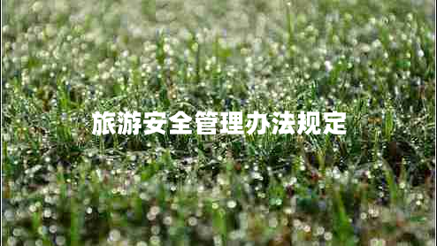 旅游安全管理辦法規定