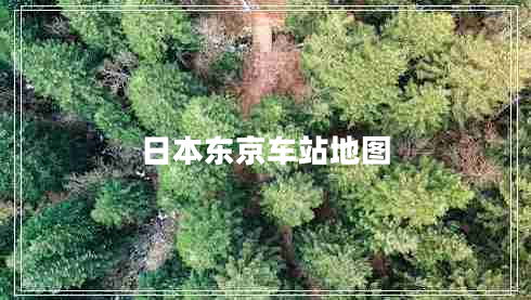 日本東京車(chē)站地圖