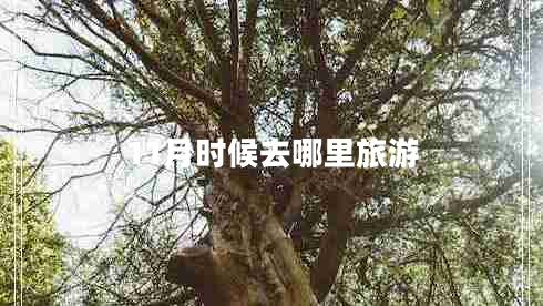 11月時(shí)候去哪里旅游 11月時(shí)候去哪里旅游