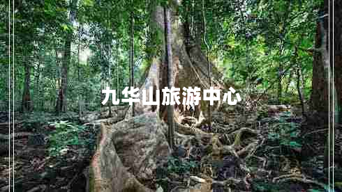 九華山旅游中心