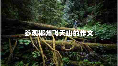 參觀(guān)郴州飛天山的作文