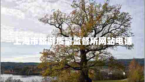 上海市旅游質(zhì)量監督所網(wǎng)站電話(huà)
