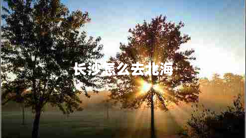 長(cháng)沙怎么去北海