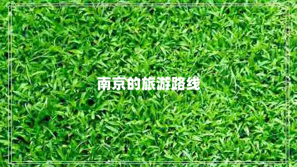 南京的旅游路線(xiàn)