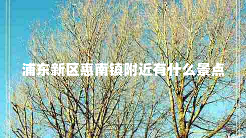 浦東新區惠南鎮附近有什么景點(diǎn)