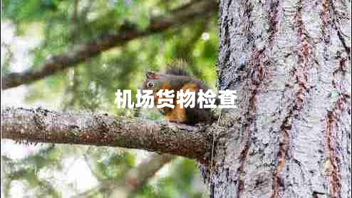 機場(chǎng)貨物檢查