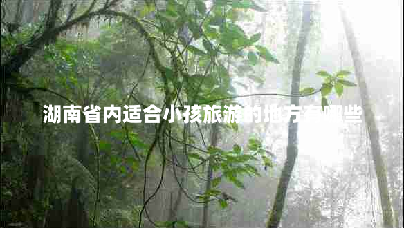 湖南省內適合小孩旅游的地方有哪些