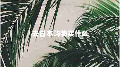 去日本購物買(mǎi)什么 去日本購物買(mǎi)什么