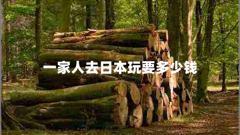 一家人去日本玩要多少錢(qián)