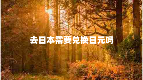 去日本需要兌換日元嗎