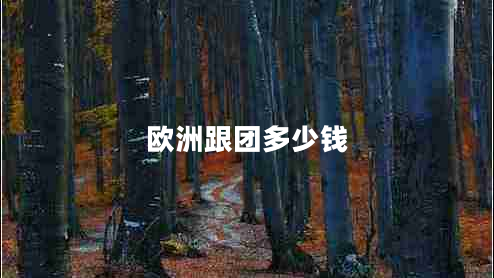 歐洲跟團多少錢(qián)